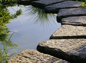 Teichbau